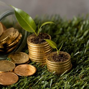 Sustainability Finance Image