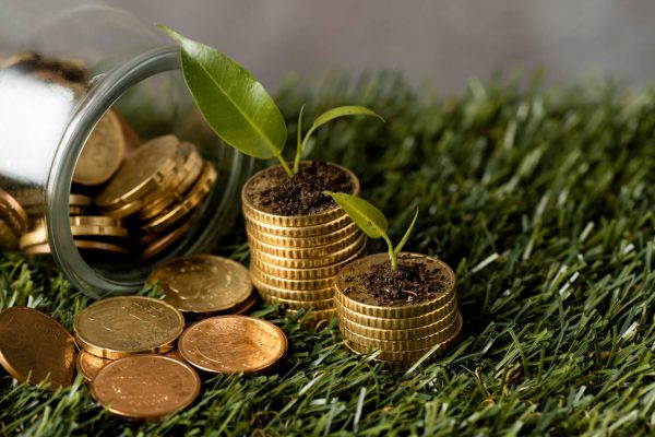 Sustainability Finance Image